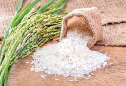 یک شرکت دانش بنیان توانسته است، اصالت ۲۰۰ نمونه برنج را مورد ارزیابی قرار دهد 