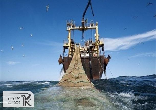 خطر نابودی گونه‌های جانوری دریایی بسیار بالاست