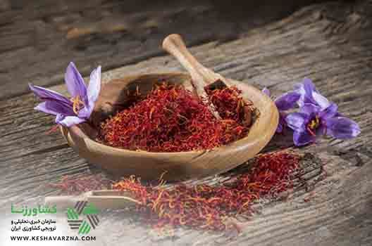 هدف‌گذاری صادراتی ۲,۵ میلیارد دلاری زعفران