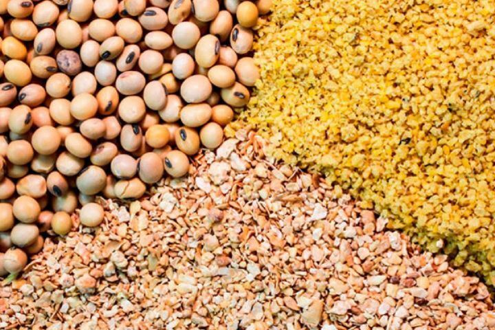 قیمت کنجاله سویا متعادل شد
