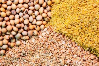 قیمت کنجاله سویا متعادل شد