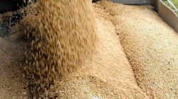 دردسرهای سامانه بازارگاه همچنان ادامه دارد