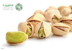 یک تولیدکننده پسته با ابراز اینکه در بازار سنتی افراد خاصی محصول پسته خرده‌مالکان را جمع‌آوری و به صادرکننده می‌فروشند، گفت: کوتاه‌شدن دست واسطه‌ها به‌واسطه عرضه این محصول در بورس کالا به شفافیت و واقعی‌تر شدن روند قیمت‌ها کمک ‌می‌کند