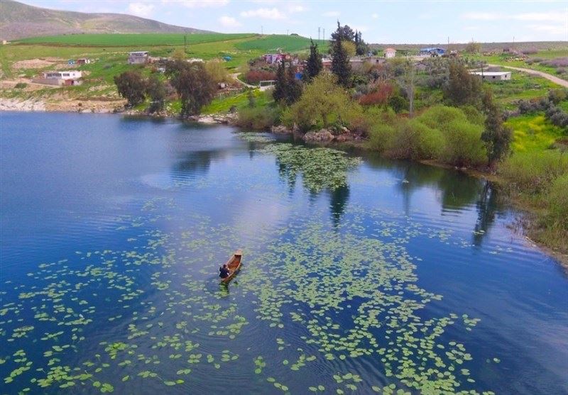 بررسی‌های لازم در باره طرح تکثیر میگوی دیر انجام می‌شود
