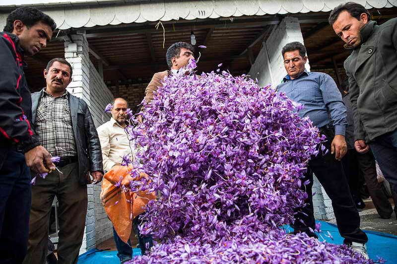عکس زعفران خام