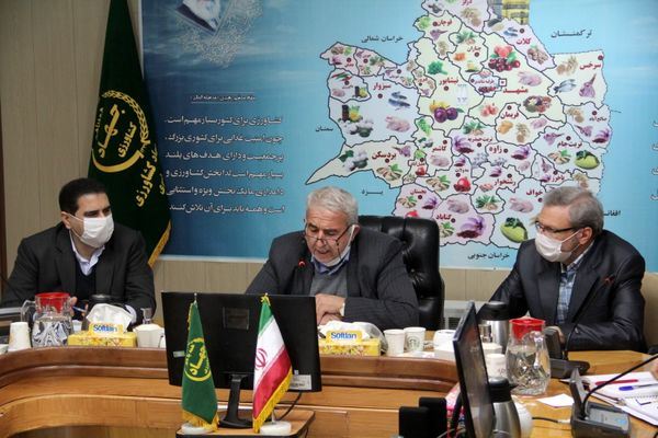 مشاور وزیر و مدیر کل وارداتی