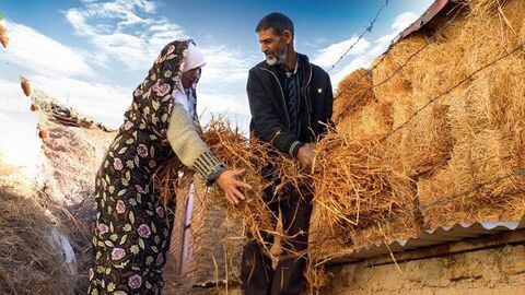 مهاجرت معکوس در گرو توانمندسازی روستاها؛ «اقتصاد» منشاء مشکلات روستایی