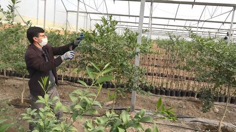 تسهیلات ارزان قیمت برای شکوفایی روستاهای مازندران