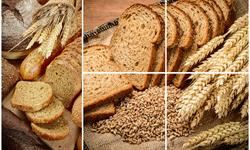   روسیه به سوریه گندم اهدا می‌کند