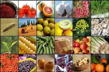 محصولات کشاورزی