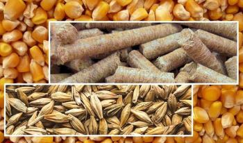 نهاده دامی