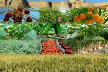 محصولات کشاورزی