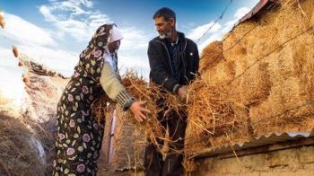 مهاجرت معکوس در گرو توانمندسازی روستاها؛ «اقتصاد» منشاء مشکلات روستایی