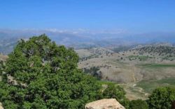 آبخیزداری