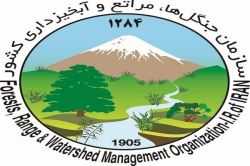 سرپرست جدید