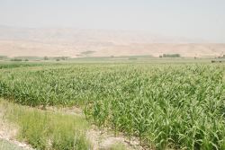 باغداری