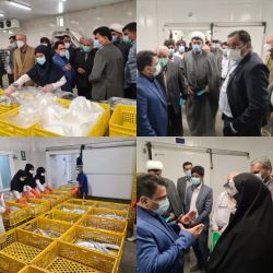 وزارت جهاد کشاورزی _ اشتغال زایی