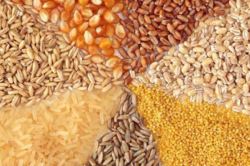 ارائه دو راهکار برای کنترل قیمت نهاده های دامی پس از حذف ارز ترجیحی