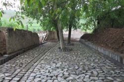 طرح هادی