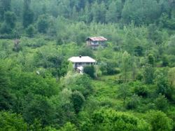 طرح هادی روستای بیجار