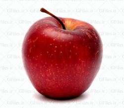 فرآیند صادرات سیب درختی آذربایجان غربی تسهیل می‌شود