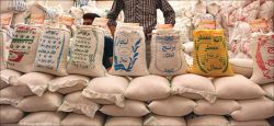 پرونده برنج مازندران برای رفتن به بورس کالا در دست بررسی است
