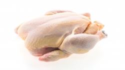 مرغ درشت یا ریز؟