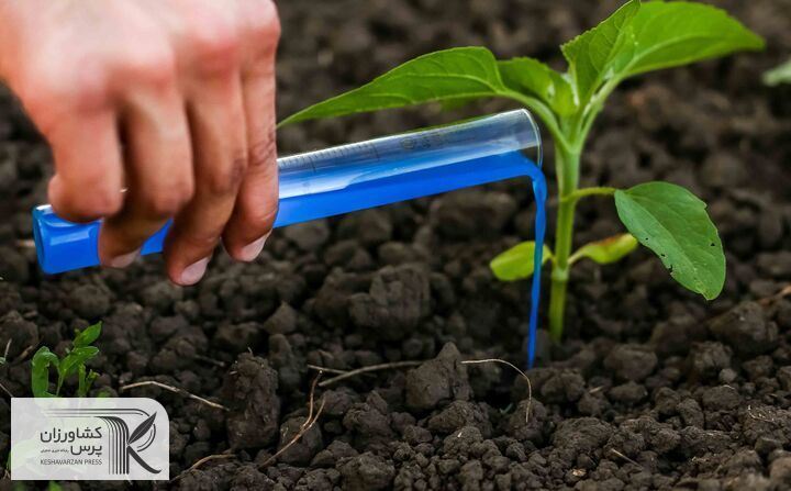 افزایش قیمت سموم و کودهای کشاورزی در ایلام