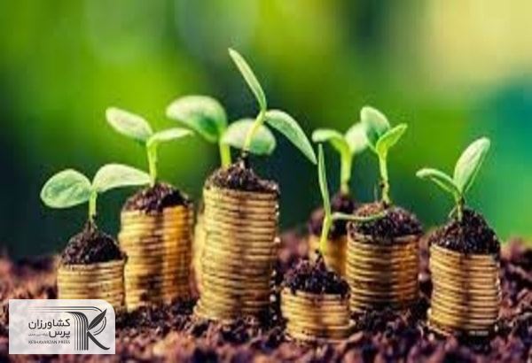 پرداخت ۲ هزار میلیارد ریال تسهیلات بانکی به بهره برداران حوزه کشاورزی