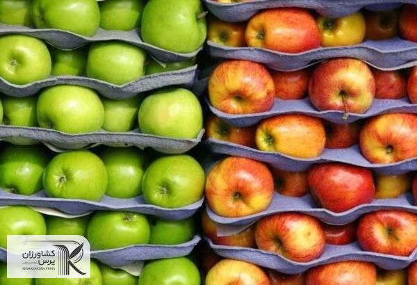 ذخیره ۷۵۰ تُن سیب در سردخانه های آذربایجان غربی