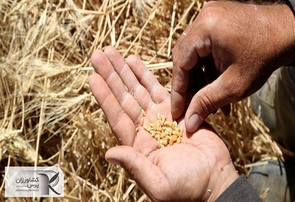 پیشنهاد 7000 میلیارد تومان برای تقویت صندوق بیمه کشاورزی