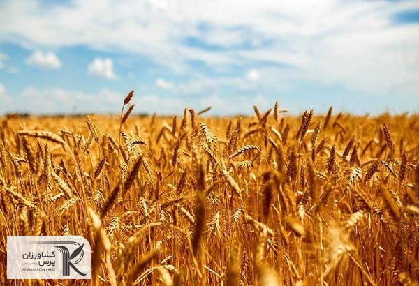  افزایش ۱۰۴ درصدی اعتبارات هزینه‌ای ملی وزارت جهاد کشاورزی