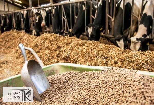 افزایش قیمت خوراک دام در بازارهای جهانی