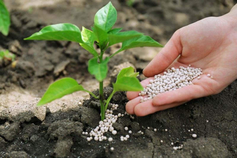 قیمت کودهای پایه تا یکسال آینده افزایش نخواهد داشت