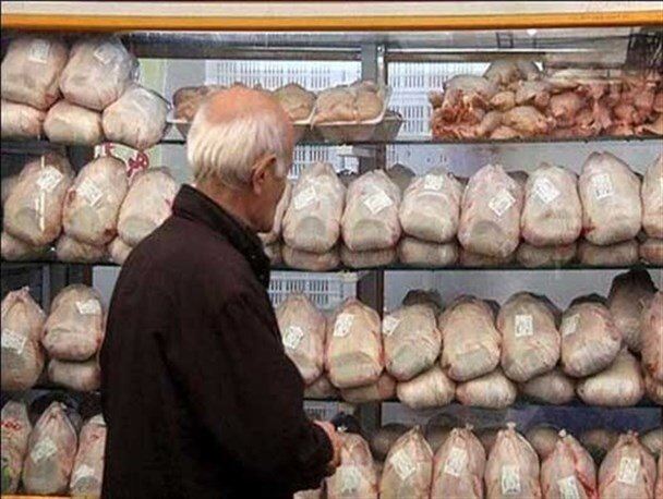 مرغ 