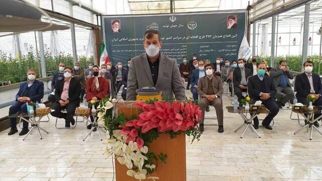 توسعه گلخانه‌ها محوری‌ترین برنامه وزارت جهاد کشاورزی است