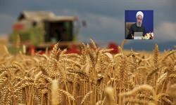 برای تأمین گندم مورد نیاز و نان مردم روی پای خود ایستادیم