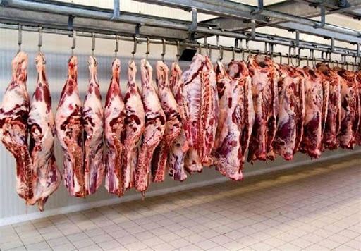 گوشت گرم وارداتی 