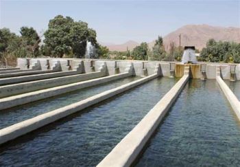 استخر ماهی
