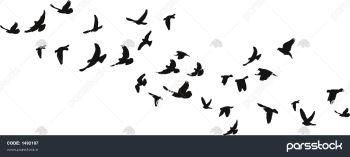 آنفلوانزای پرندگان ارمغان مرغان مهاجر