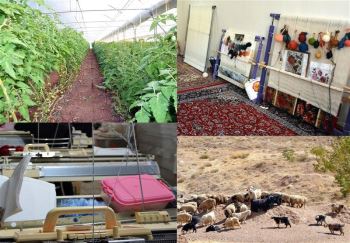 طبهره‌برداری از ۱۴۲ هزار طرح اشتغال روستایی و عشایر آغاز شد