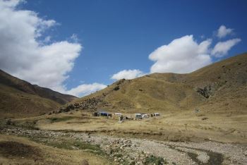 کشت گیاهان دارویی