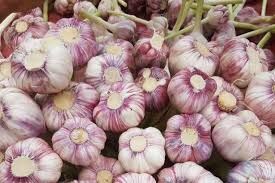 شروع عملیات اجرایی شهرک سیر همدان از سال 1400