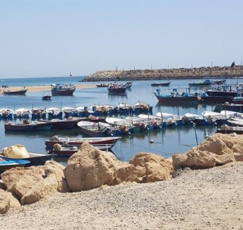 بندر گناوه