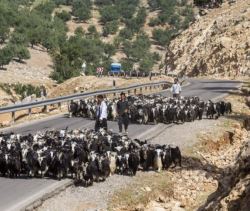 باج‌دهی عشایر به مرتع‌داران بی‌دام استان تهران
