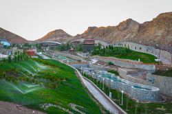 باغ پرندگان قم 