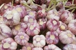 شروع عملیات اجرایی شهرک سیر همدان از سال 1400