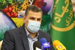  تأمین ۱۰۰درصد مرغ اجداد مورد نیاز در سال ۱۴۰۰ از لاین آرین