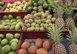 محصولات وارداتی