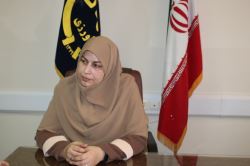  تحلیلی بر نتایج یافته‌های پژوهشی و مطالعات میدانی خشکه‌کاری برنج